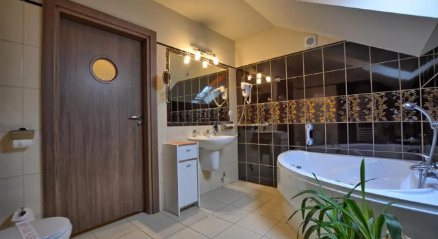 Люкс Pensjonat Szajna Spa