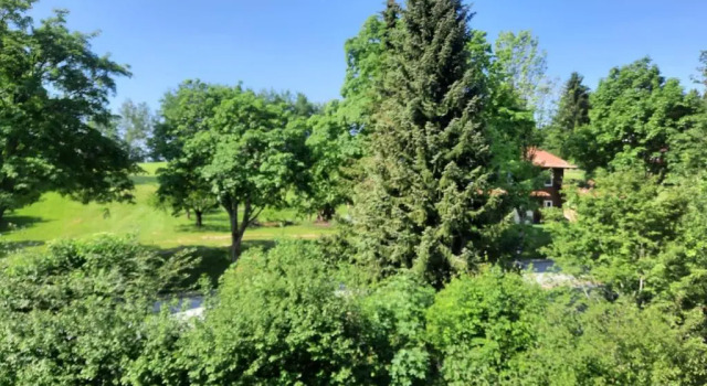 Апартаменты Chrysantihof Zwiesel - Apartment 231
