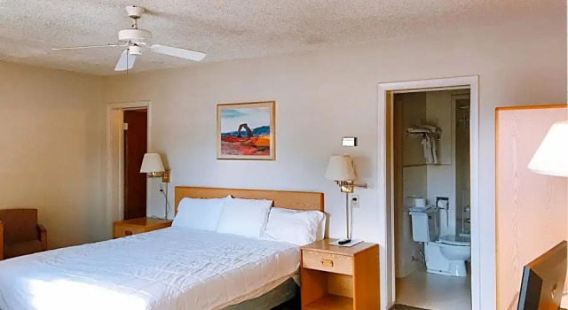 Suite Appletree Inn