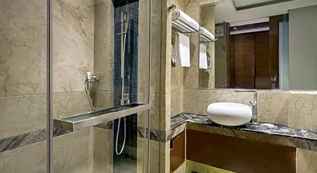 Двухместный номер Deluxe Radisson Blu Kaushambi Delhi NCR
