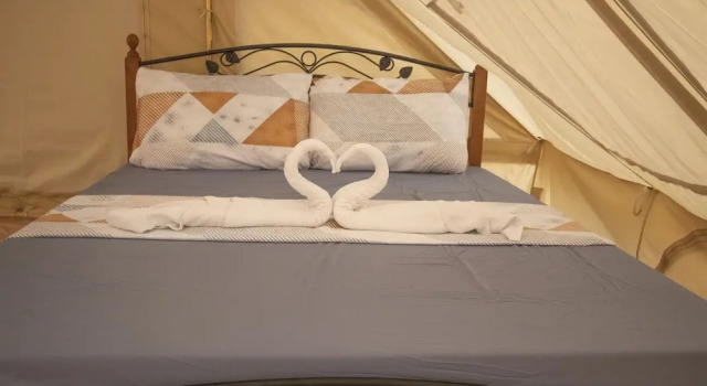 Номер Superior The Acacia Glamping Park