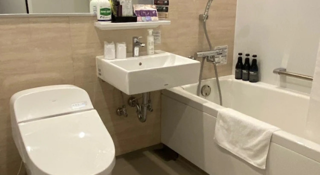 Двухместный номер Superior Roppongi Plaza Hotel