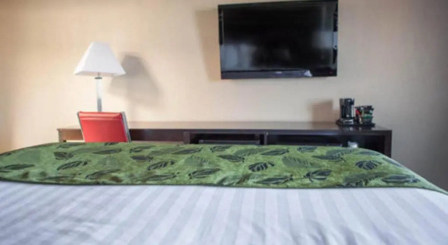 Двухместный номер Standard Motel Capri