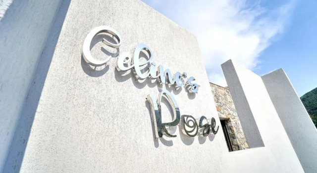 Celines Rose, Book Hotel Chrisi Akti 