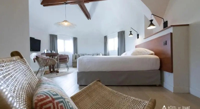 Люкс Standard Hotel De Diane