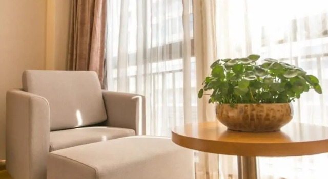 Номер Superior Greentree Inn