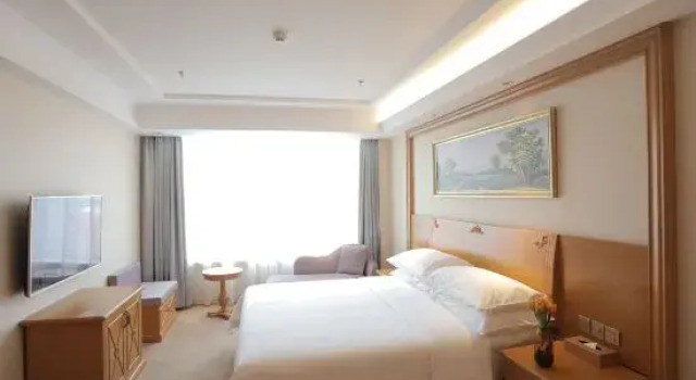 Люкс Superior Vienna Hotel (Shenyang Central Street)