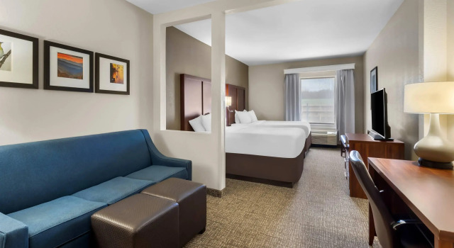 Четырёхместный люкс Comfort Suites Goodlettsville Rivergate