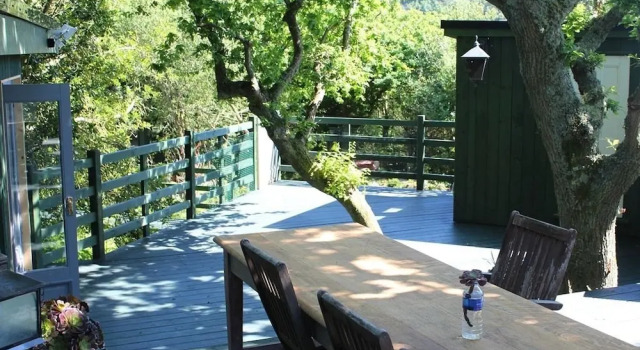 Holly Oak Sanctuary