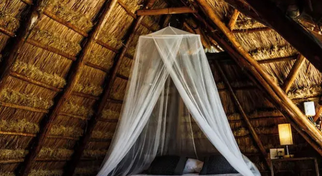 Семейный номер Standard Eco Bañitas Tulum