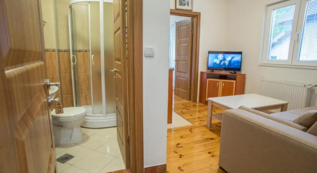 Апартаменты c 1 комнатой Hotel Pavlović