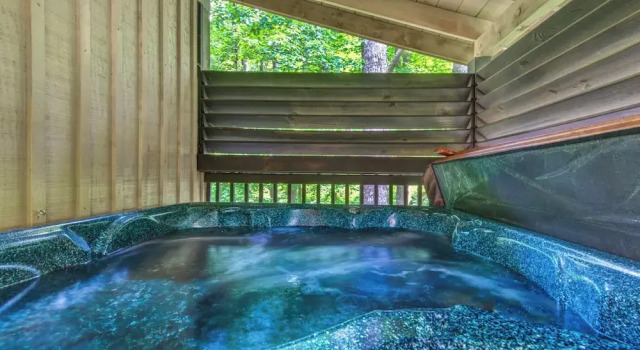 Бунгало с балконом и с видом на горы Smokies Bungalow
