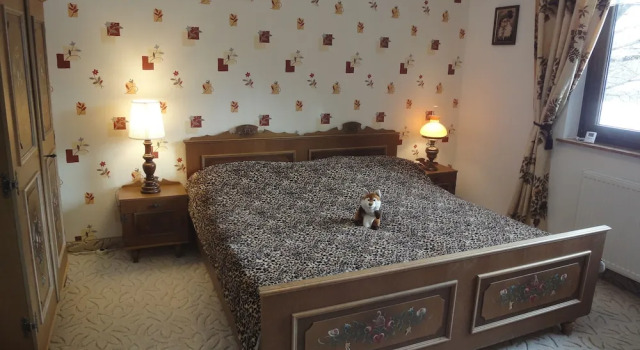 Номер Comfort Comfort and Views