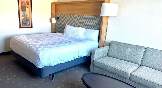Полулюкс Wyndham Flint MI Grand Blanc Bishop Airport Conference Ct