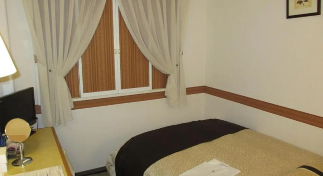 Одноместный номер Standard Ace Inn Kariya