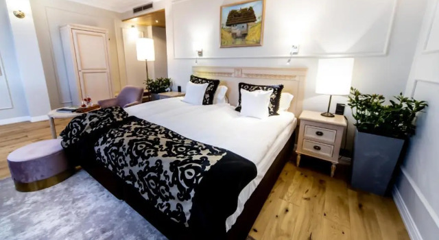 Номер Superior Hotel Rubinstein