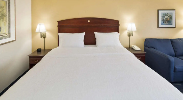 Номер Standard Hampton Inn Hinesville