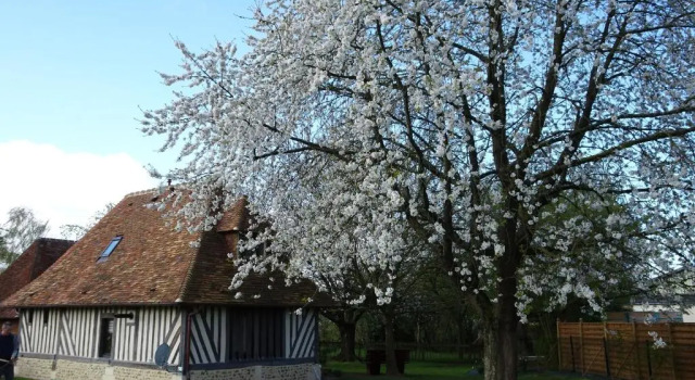 Gîte Falafa Normand