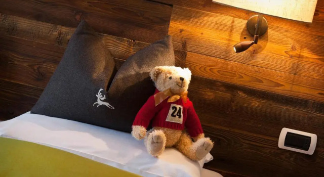 Номер Superior Hotel ANDER