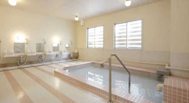 Номер Standard Togakushi Kogen Hotel