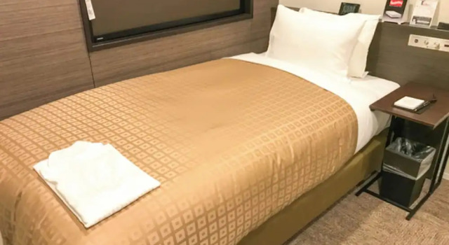 Одноместный номер Economy Hotel Livemax Toyama