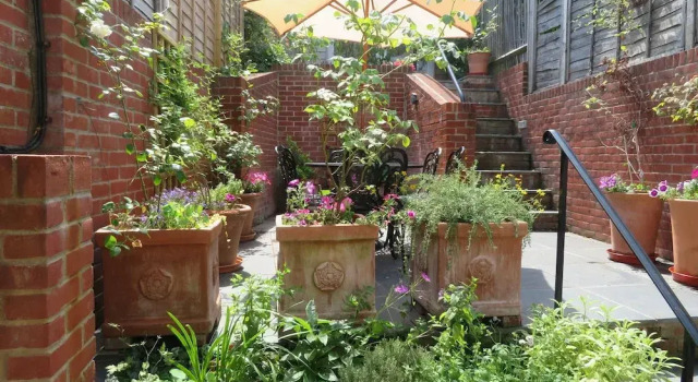 Коттедж Peaceful Elevated Residential Area - Walk to City