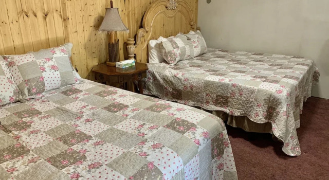 Номер Luxury Grey Squirrel Resort
