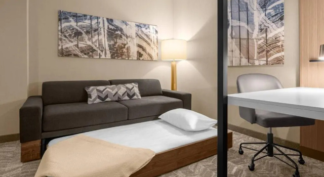 SpringHill Suites by Marriott Jackson
