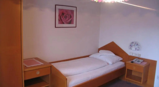 Номер Standard Hotel Reichegger