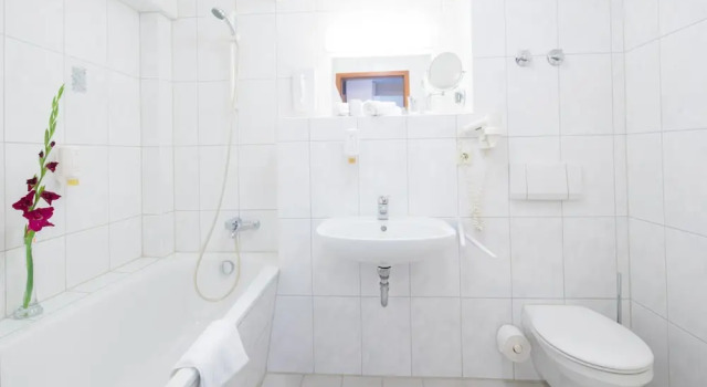 Четырёхместный номер Maximilian Hotel & Apartments Weil am Rhein / Basel