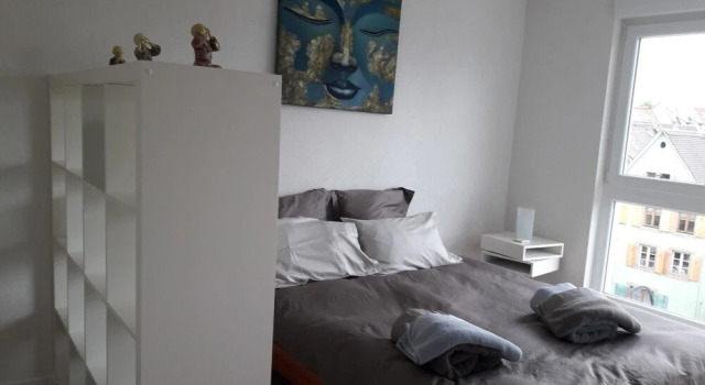 Apartment 4 With 2 Bedrooms in Colmar, With Wonderful City View, Balco, Забронировать Апартаменты/квартира Отели Alsace Wine Route с парковкой, Парковка