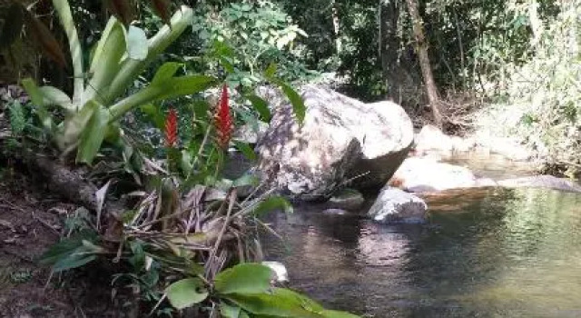Casa da Cachoeira Grauna Paraty, Забронировать Отель Отели штата Рио-де-Жанейро 3 звезды, 3*