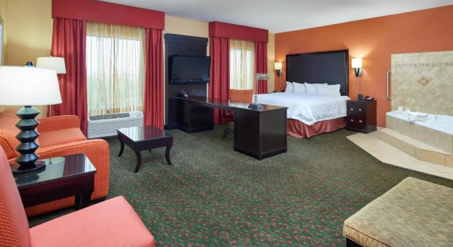 Двухместная студия Hampton Inn & Suites Waco-South