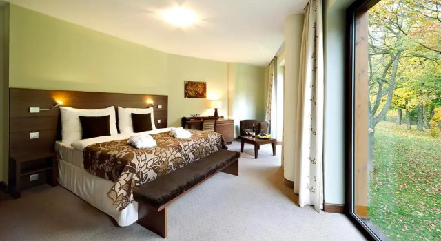 Номер Superior Hotel Zochova Chata