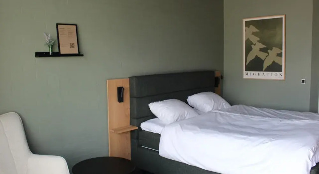 Номер Deluxe Hotel Hedegaarden