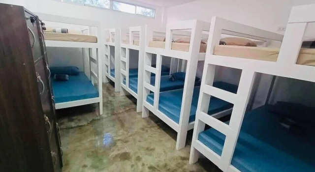 Кровать в общем номере Tropical Vibes Inn Siargao