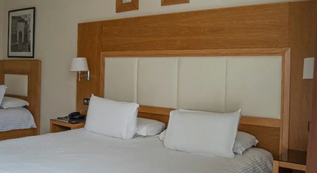 Номер Standard Hotel LA PALOMA