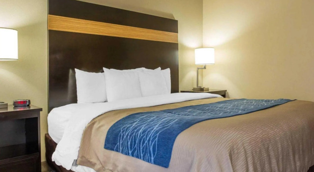 Номер Standard Comfort Inn & Suites at Stone Mountain