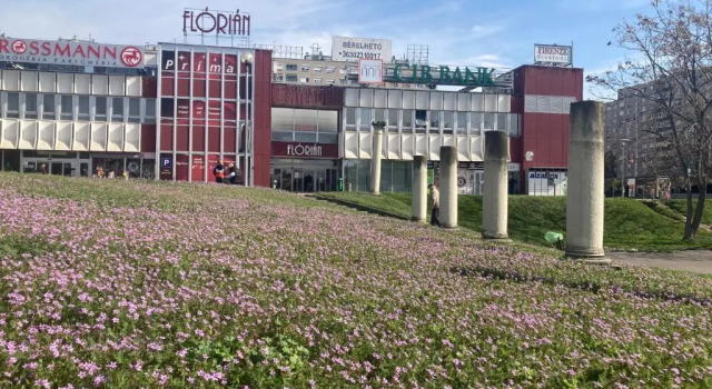 Апартаменты Poppy Flower Apartment