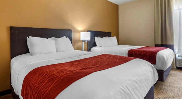 Четырёхместный номер Standard Comfort Inn & Suites Kenosha-Pleasant Prairie