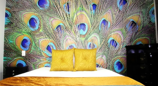 Номер Standard Hotel Jardines del Caney
