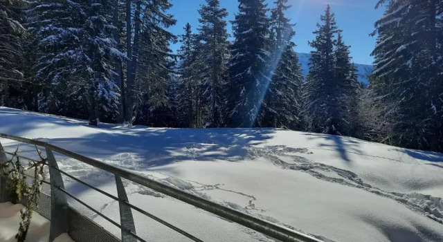 La Petite Foret Chamrousse 1700, Забронировать Отель Шамрусс Belledonne