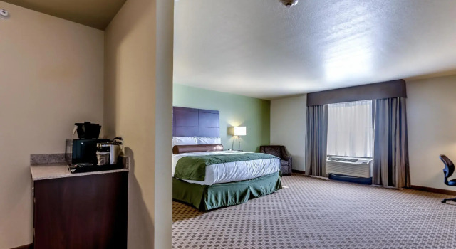 Двухместная студия Cobblestone Inn & Suites - Waverly