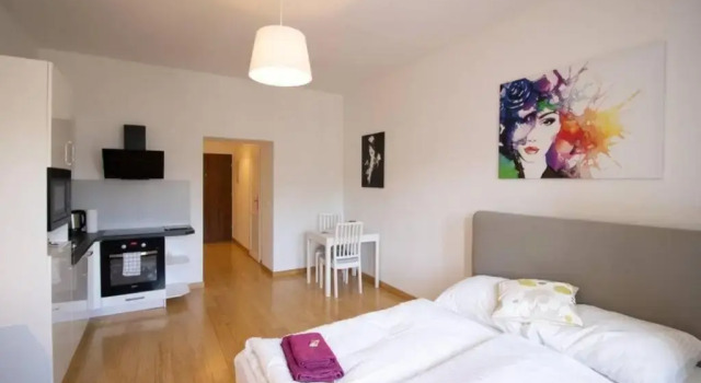 Апартаменты Studio-Apartment between Schoenbrunn & the City Center (26)