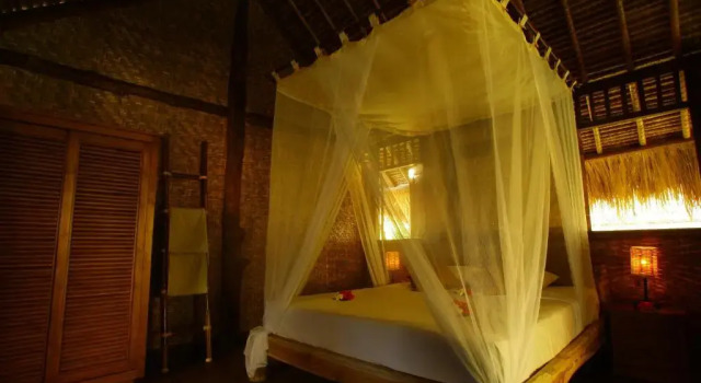 Двухместный номер Superior Flower Bud Bungalow Balangan