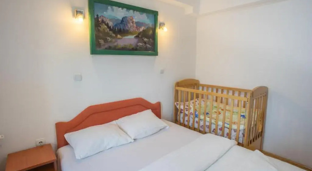 Апартаменты Hotel Pavlović
