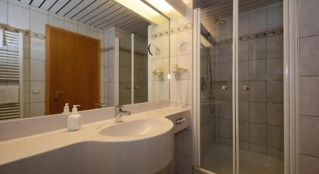 Одноместный номер Comfort Ringhotel Niedersachsen