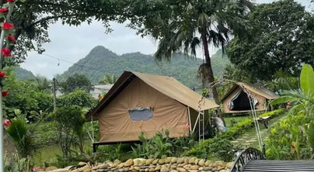 Hen Camping- Coffee