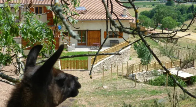 Номер Standard La Bruyère aux Lamas