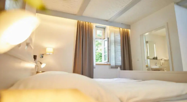Одноместный номер Standard Hotel Landgraf